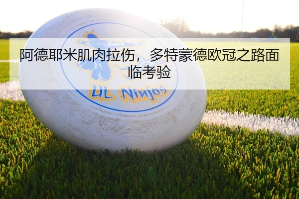 阿德耶米肌肉拉伤，多特蒙德欧冠之路面临考验